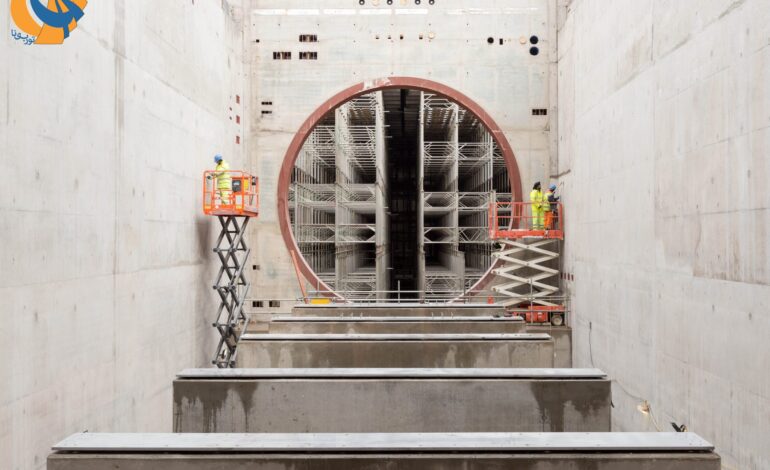 بزرگترین سلول تست