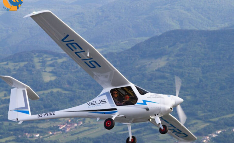 گواهینامه نوع