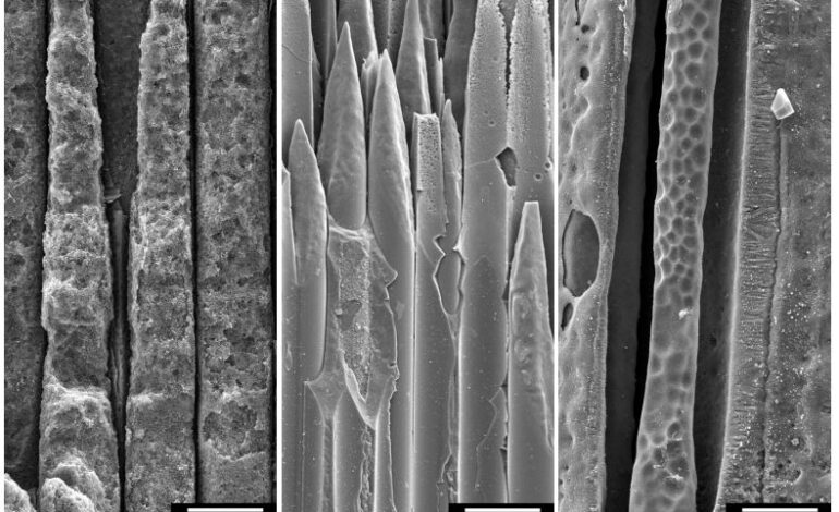  خوردگی داغ توربین گاز: علل، اثرات و اقدامات پیشگیرانه